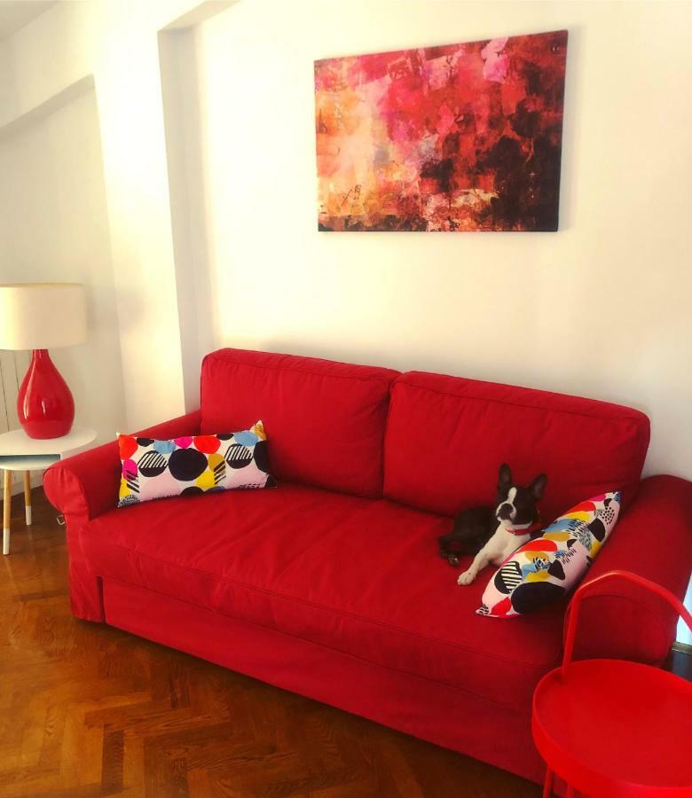 PUY Sunny Corner In City Center With Free Parking 아파트 외부 사진